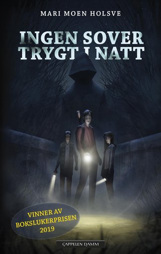 "Ingen sover trygt i natt" av Mari Moen Holsve