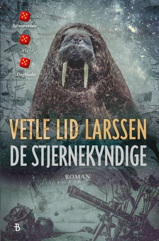 "De stjernekyndige roman" av Vetle Lid Larssen