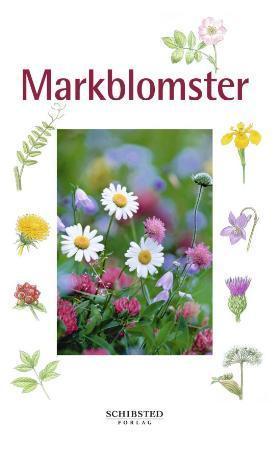 "Markblomster" av Neil Fletcher