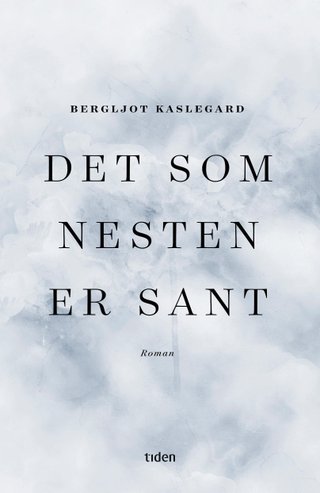 Det som nesten er sant - roman