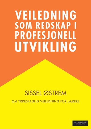 "Veiledning som redskap i profesjonell utvikling" av Sissel Østrem
