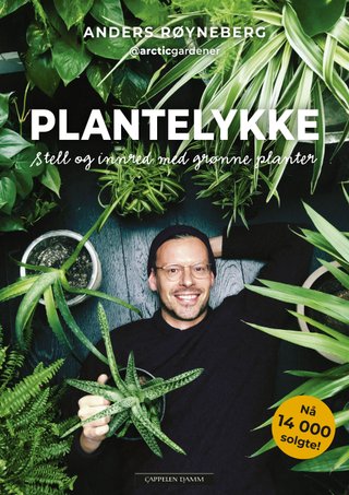 Plantelykke - stell og innred med grønne planter