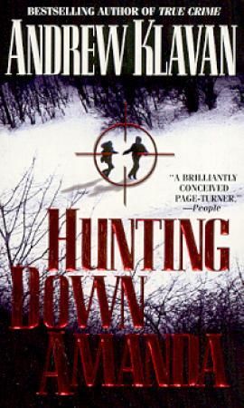 Hunting down Amanda - a novel