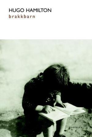 "Brakkbarn" av Hugo Hamilton