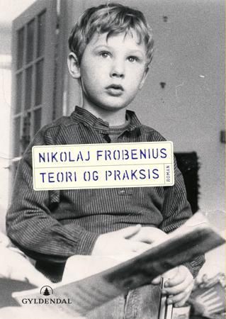 Teori og praksis - roman*
