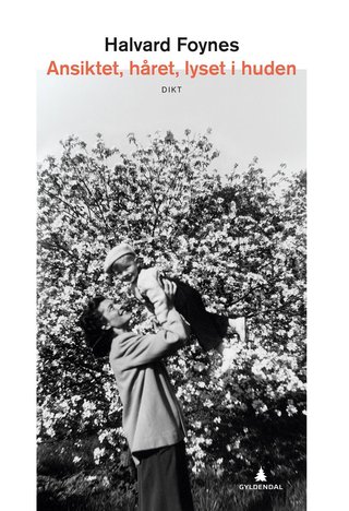 "Ansiktet, håret, lyset i huden dikt" av Halvard Foynes