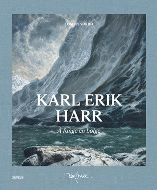 Karl Erik Harr - å fange en bølge