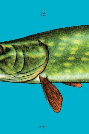 XXL - en maksimalistisk roman om livet, kjærligheten og den store gjedda