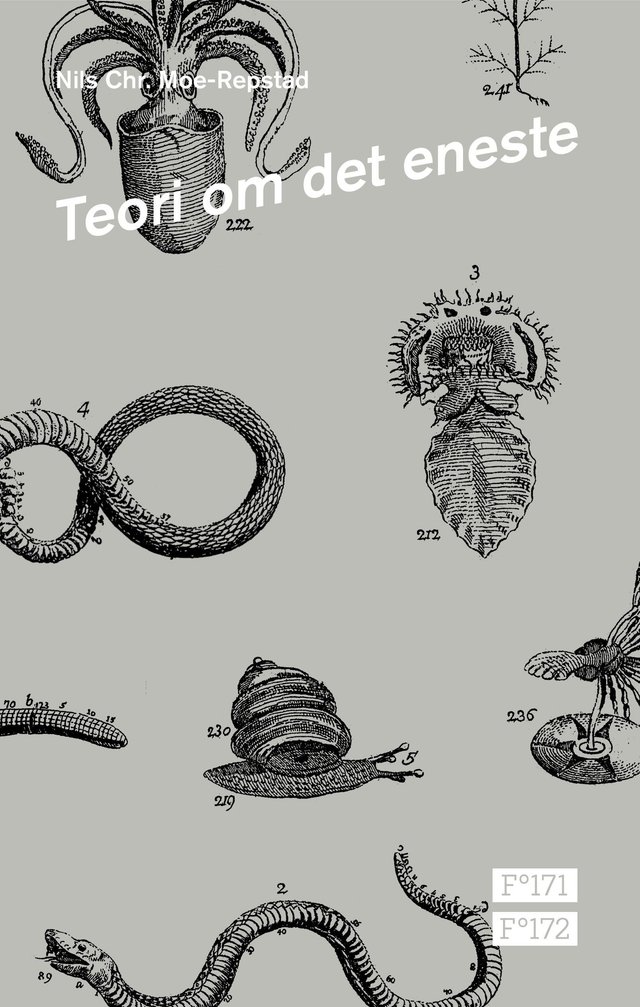 "Teori om det eneste" av Nils Chr. Moe-Repstad