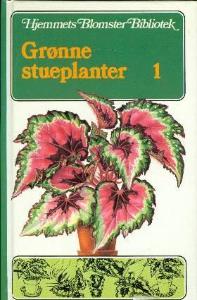 Grønne stueplanter 1
