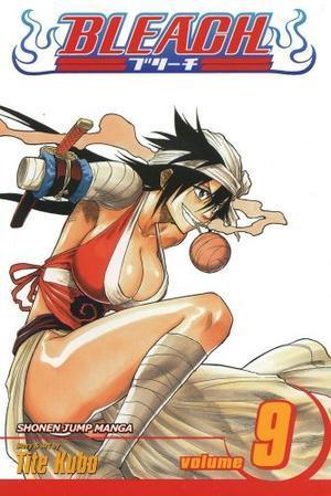 Bleach - v. 9