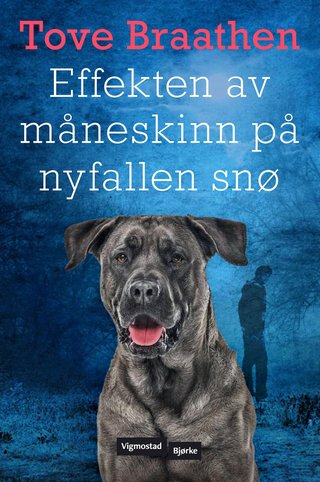 "Effekten av måneskinn på nyfallen snø" av Tove Braathen