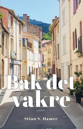 "Bak det vakre" av Stian Hamre