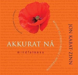 "Akkurat nå - bevisst tilstedeværelse i hverdagen" av Jon Kabat-Zinn