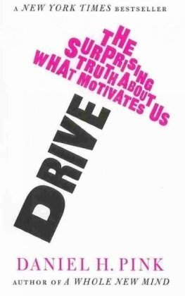 "Drive - The Surprising Truth About What Motivates Us" av Daniel H. Pink