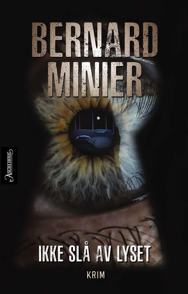 "Ikke slå av lyset" av Bernard Minier