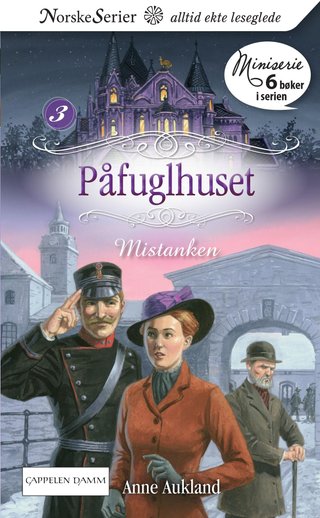 "Mistanken" av Anne Aukland