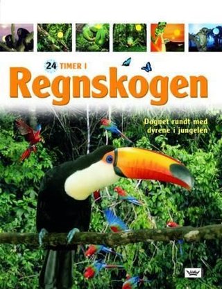 Regnskogen - døgnet rundt med dyrene i jungelen