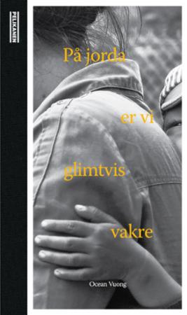 På jorda er vi glimtvis vakre - roman