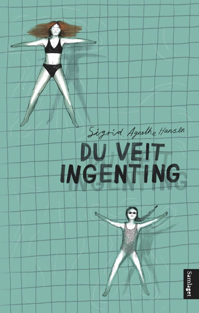 "Du veit ingenting - roman" av Sigrid Agnethe Hansen