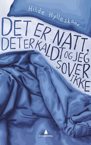 "Det er natt, det er kaldt, og jeg sover ikke" av Hilde Hylleskaar
