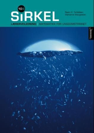 "Sirkel 10B" av Svein H. Torkildsen