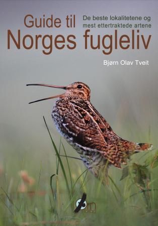 Guide til Norges fugleliv - de beste lokalitetene og mest ettertraktede artene