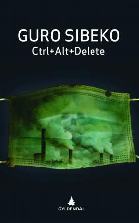 "Ctrl+Alt+Delete - roman" av Guro Jabulisile Johnsen Sibeko