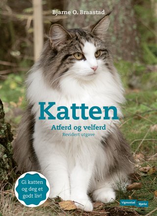 Katten - atferd og velferd