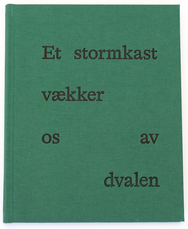 "Et stormkast vækker os av dvalen" av Marius Eriksen