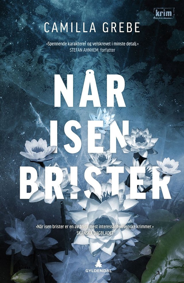 "Når isen brister" av Camilla Grebe