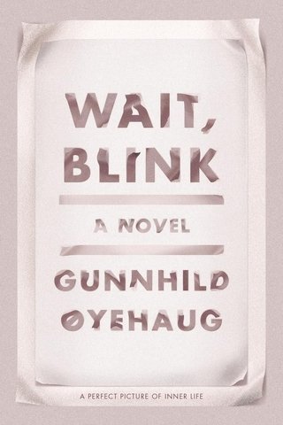 Wait, blink - a perfect picture of inner life : a novel