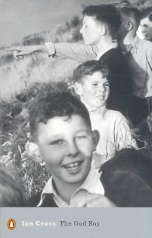 The God Boy (Penguin Modern Classics)