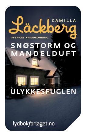Snøstorm og mandelduft ; Ulykkesfuglen