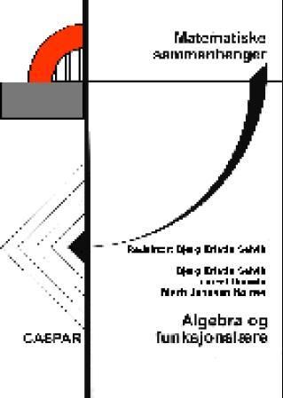 "Matematiske sammenhenger algebra og funksjonslære" av Bjørg Kristin Selvik