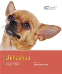 "Chihuahua" av Christine Davies
