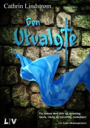"Den utvalgte roman" av Cathrin Lindstrøm