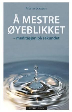 "Å mestre øyeblikket - meditasjon på sekundet" av Martin Boroson