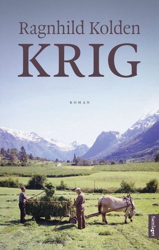 Krig - roman