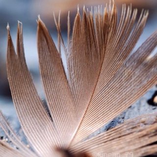 Kine Yun Hoch-Nielsen