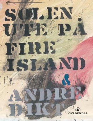 Solen ute på Fire Island og andre dikt