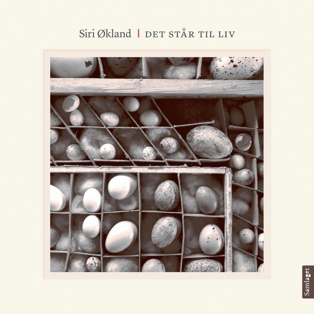 "Det står til liv - kortprosa og foto" av Siri Økland