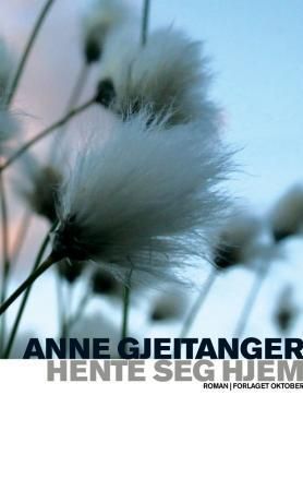 Hente seg hjem - roman