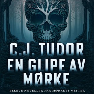 "En glipe av mørke" av C.J. Tudor