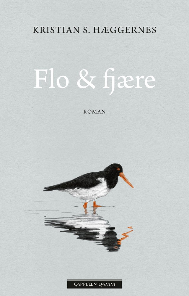 "Flo & fjære - roman" av Kristian S. Hæggernes