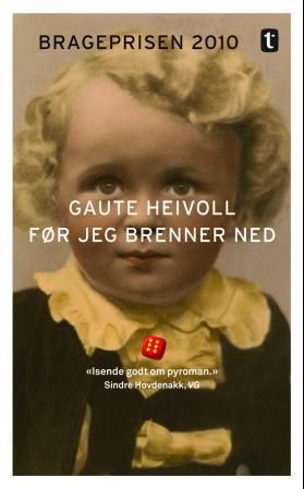 "Før jeg brenner ned roman" av Gaute Heivoll