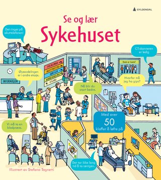 "Sykehuset" av Zoë Fritz
