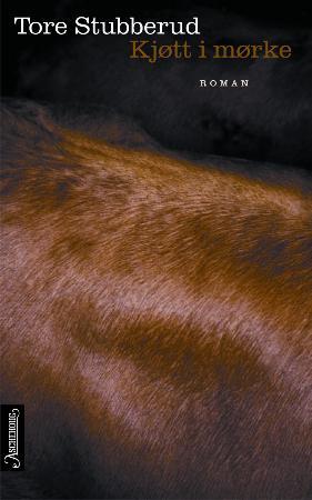 "Kjøtt i mørke - roman" av Tore Stubberud