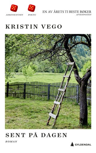 Sent på dagen - roman