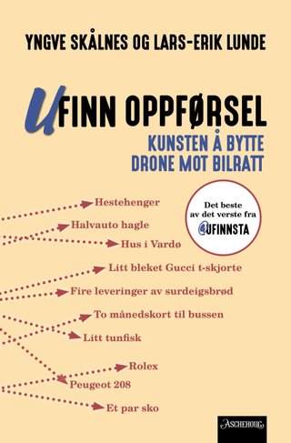 "Ufinn oppførsel kunsten å bytte drone mot bilratt" av Yngve Skålnes